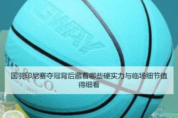 国羽印尼赛夺冠背后藏着哪些硬实力与临场细节值得细看